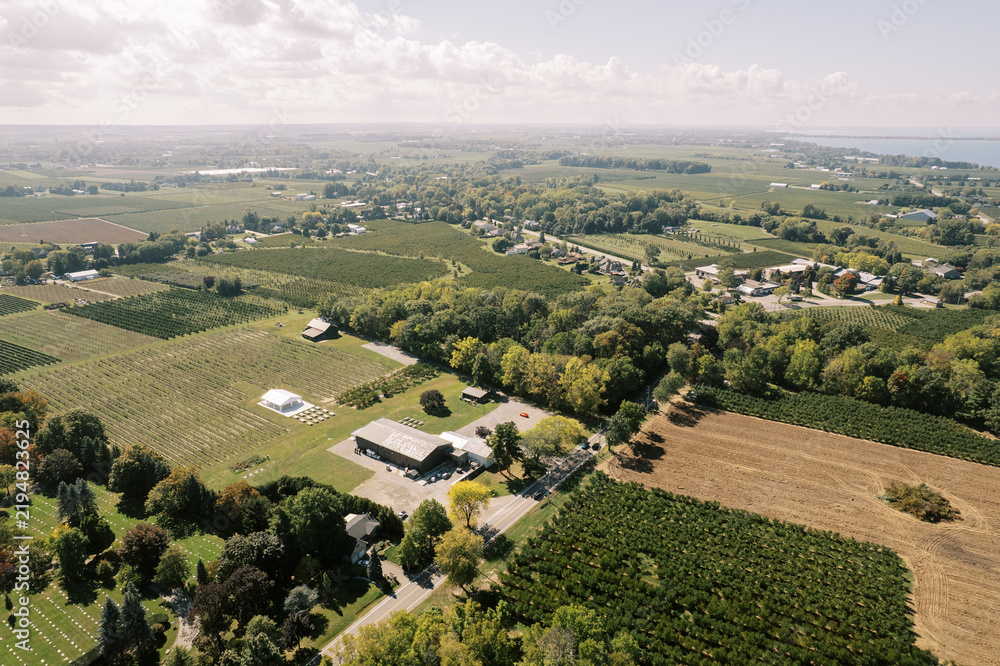 Obraz premium Aerial view of vineyards and farmland in Virgil, Niagara-on-the-Lake