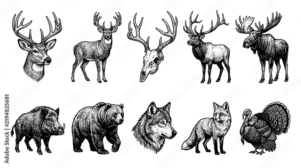 Obraz premium Engraving collection featuring deer bear wolf and other wildlife animals