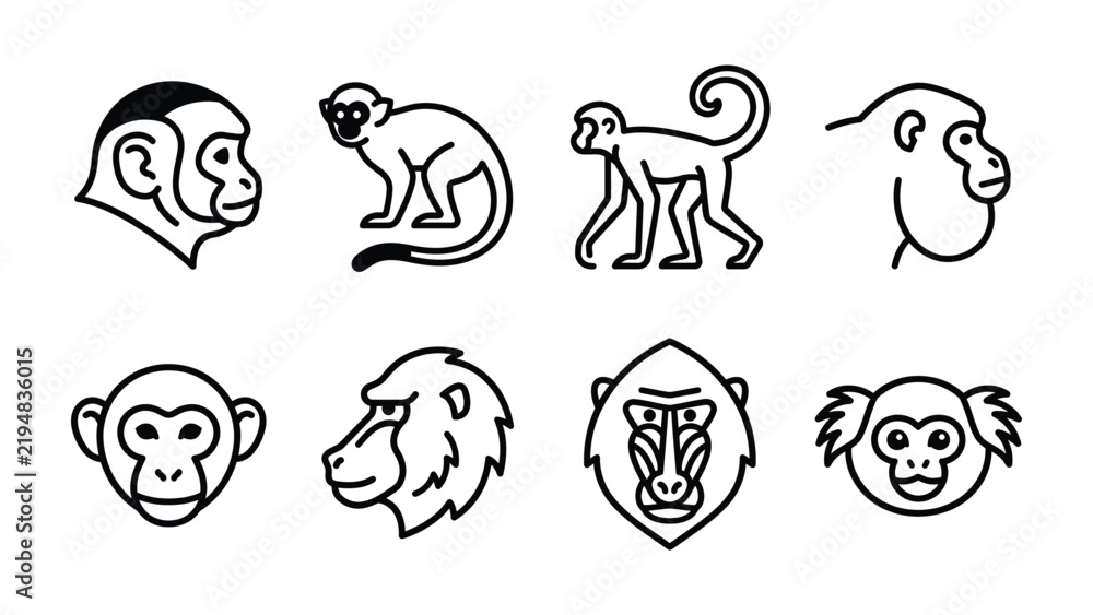 Fototapeta premium Monkey Icon Collection: A minimalist set of black and white line art depicting diverse monkey faces and postures, designed for clear visual communication and graphical use