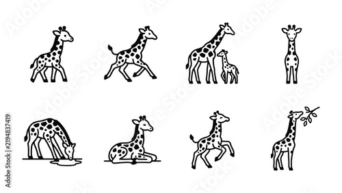 Photography Giraffe Collection: A set of eight charming black and white line illustrations featuring giraffes in various poses, from standing and drinking to resting and running