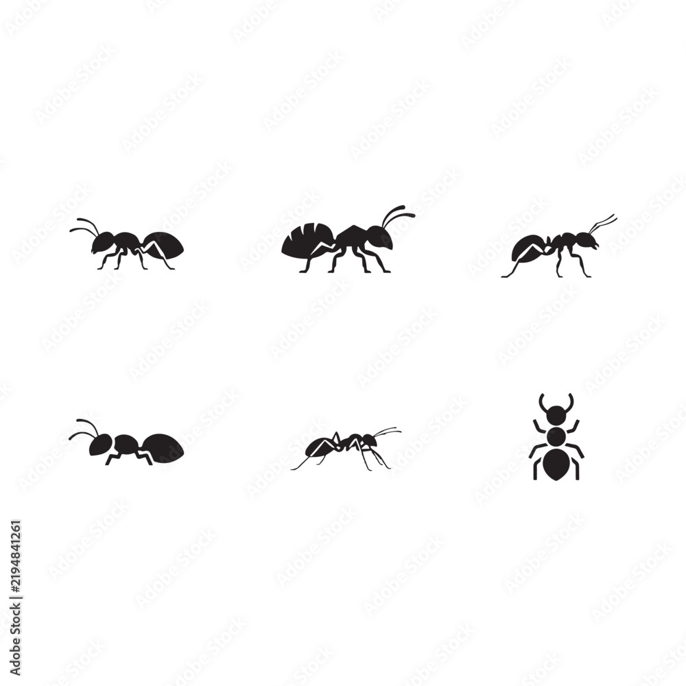 Fototapeta premium Black ant silhouettes arranged on a white background insect vector collection