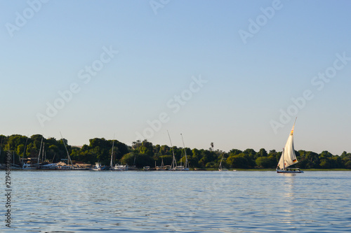 Cuadro en lienzo Feluccas sailing past a green riverbank, Aswan, Egypt