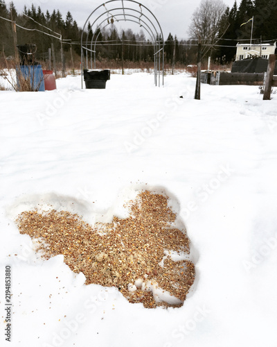Bird seed and feed lie scattered on deep snow in a winter garden plot.