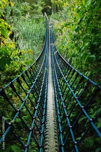 Photo of a suspension bridge over the polder waters in a nature reserve.
