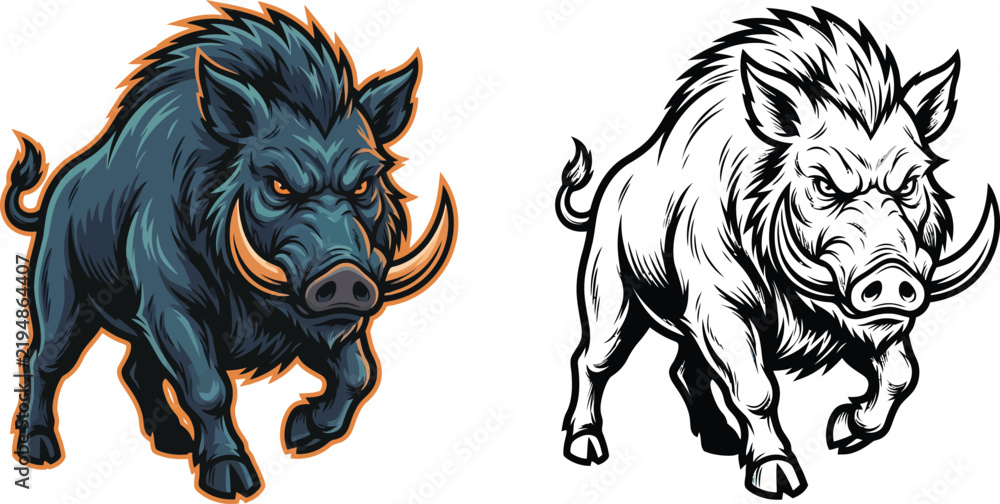 Obraz premium A fierce, charging wild boar with sharp tusks and an aggressive expression, depicted in both a vibrant, colorful illustration and a stark black and white line drawing.