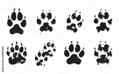 Grunge animal paw tracks with distressed texture for outdoor hunting and wildlife designs.