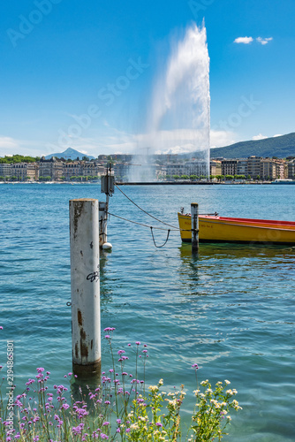  Panorama estival de la rade de Genève avec son célèbre jet d'eau et fleurs sauvages