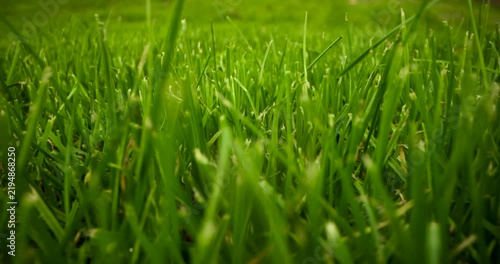 sliding above green grass. lawn care