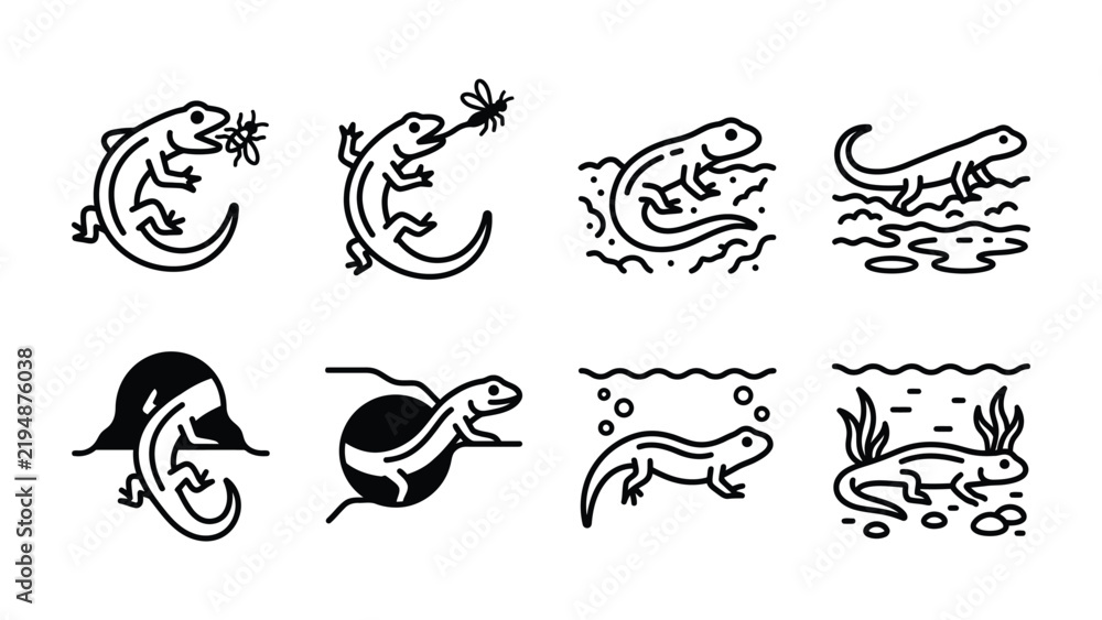 Obraz premium Salamander Icon Set: A collection of eight minimalist line art illustrations depicting salamanders in various natural habitats and actions, including eating insects and swimming in water.
