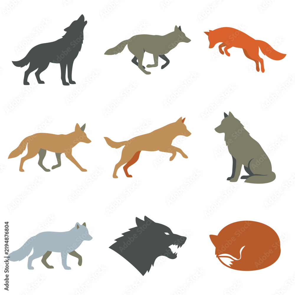 Obraz premium Set of colorful canine action silhouettes featuring wolf, fox, and wild dog in various poses including howling, running, jumping, sitting, and growling, isolated vector illustration on white