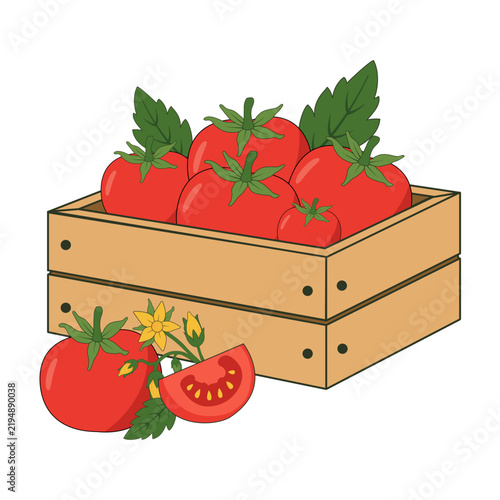 Hand drawn crate filled with fresh tomatoes, leaves, flowers and a sliced tomato in a rustic farm harvest style.