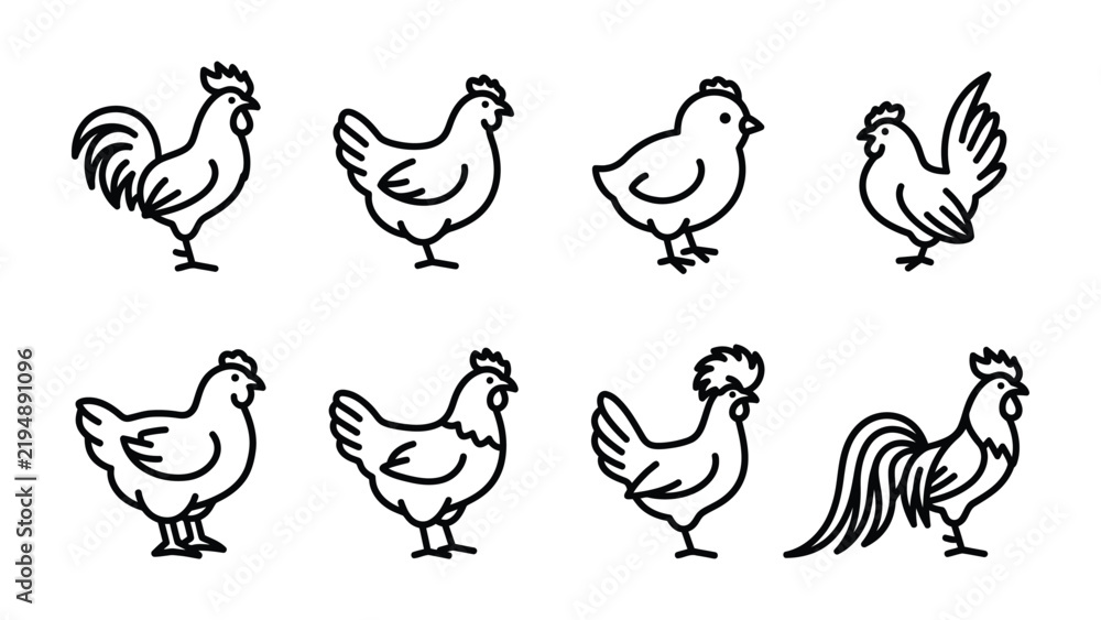 Fototapeta premium Line Drawing of Chickens: A collection of simple, outlined drawings of various chickens, including roosters, hens, and chicks, showcasing different breeds and poses in a clean, minimalist style.