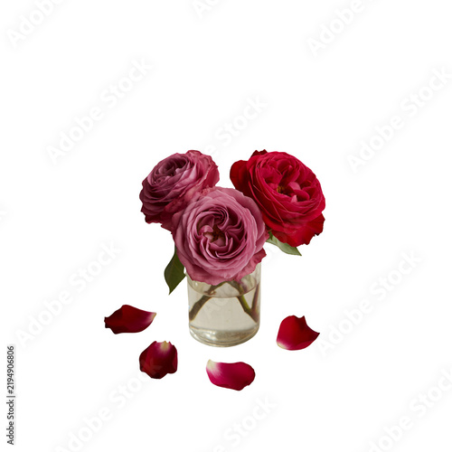 Three beautiful pink and red roses in a small glass vase with scattered flower petals on ground