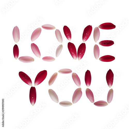 Love you text sign made of red and pink flower petals arranged for a romantic greeting card design