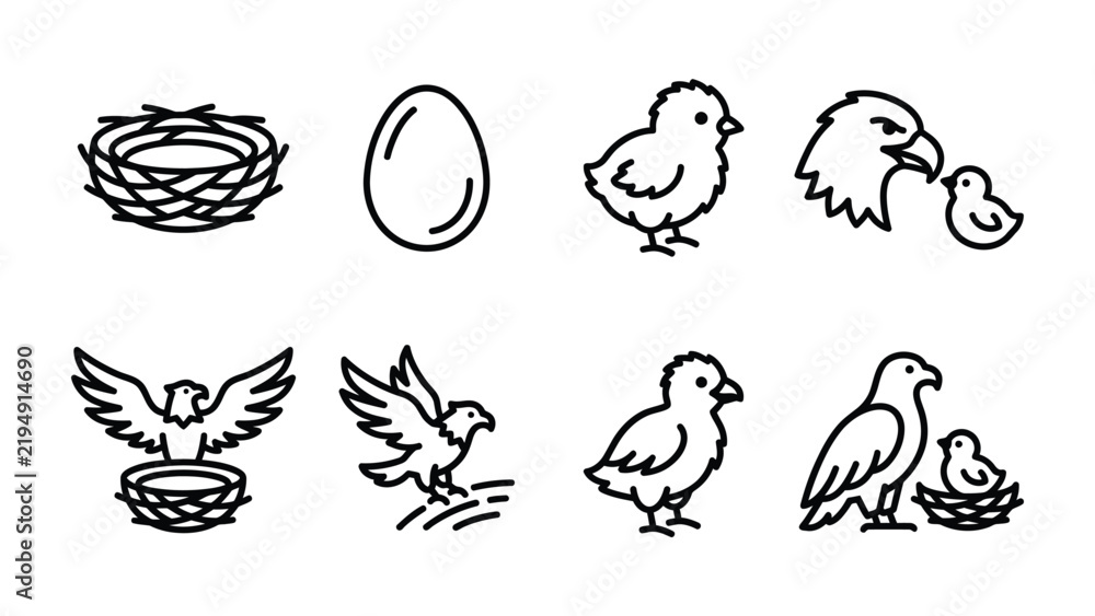 Fototapeta premium Avian Life Cycle Icons: A collection of clean, minimalist line art icons illustrating the stages of avian life, from nest and egg to chick and adult bird, depicting growth and family.