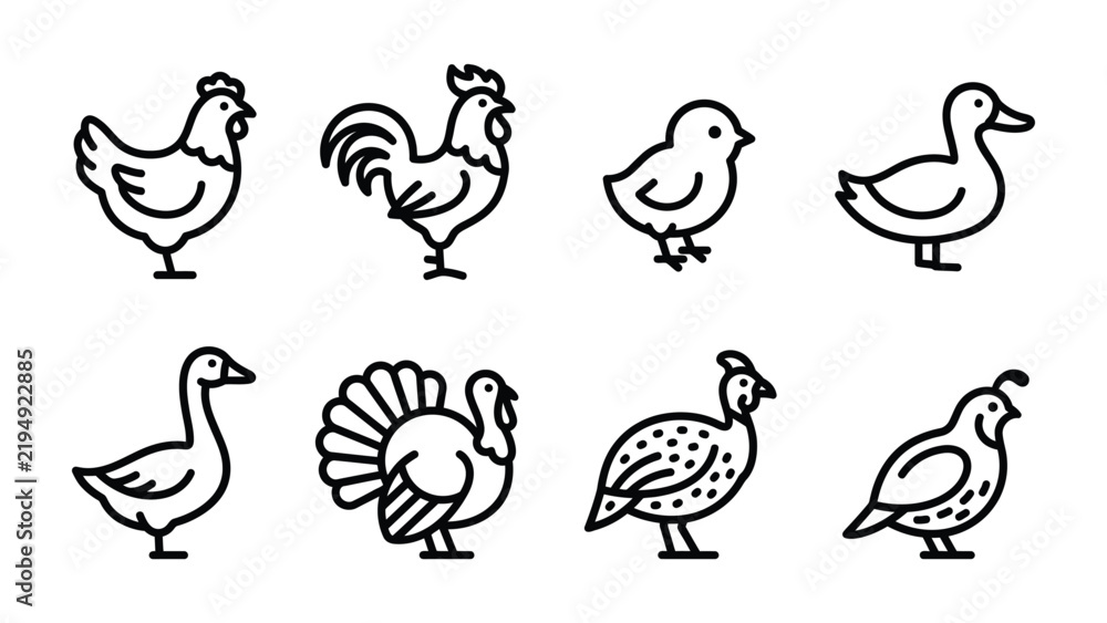 Obraz premium Farm Bird Icons: A collection of stylized line art illustrations depicting various farm birds, including a hen, rooster, chick, duck, goose, turkey, pheasant, and quail.