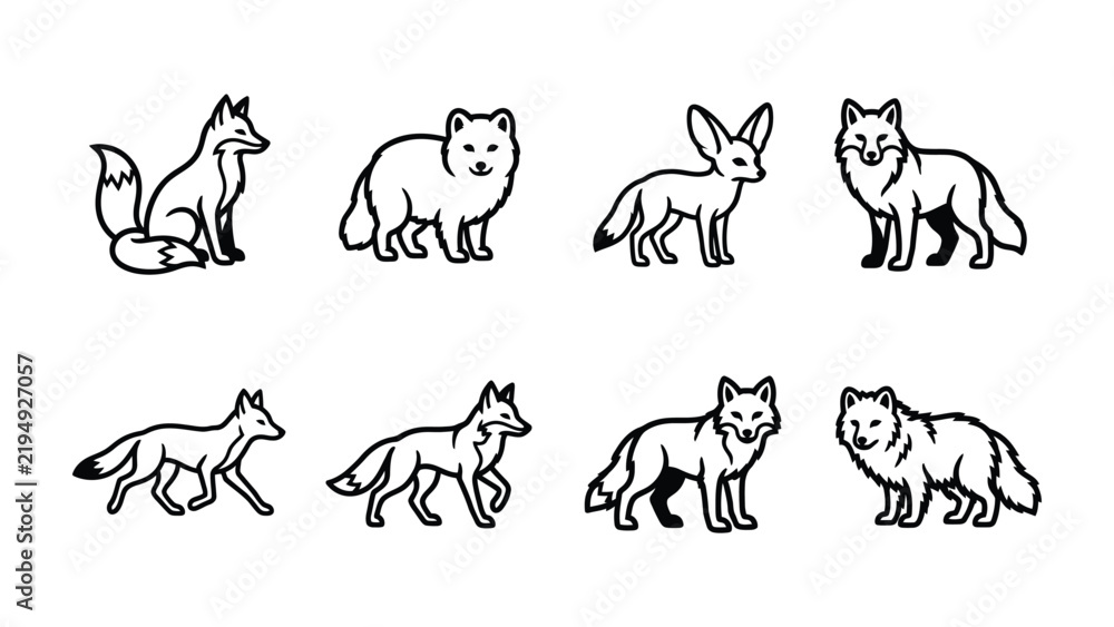 Fototapeta premium Set of Fox Iconography: A collection of stylized line art illustrations depicting various fox species, showcasing their unique features and poses in a clean, graphic representation.