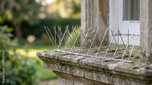 Bird deterrent spikes near window on stone ledge in green garden  