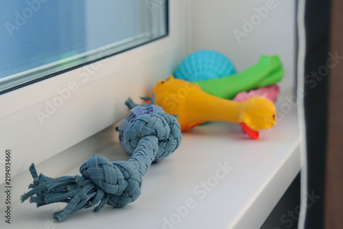 Canvastavla Dog toys sitting on a white windowsill during the daylight hours including a bra