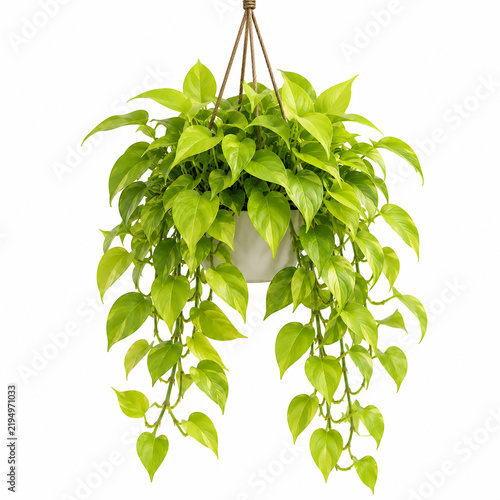 Neon Pothos Illustration: Vibrant Lime Green Tropical Vine with Heart-Shaped Leaves and Lush Botanical Foliage