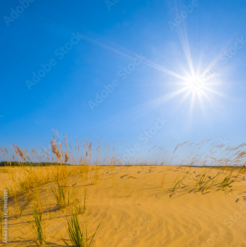 wide sandy desert at the sunny day