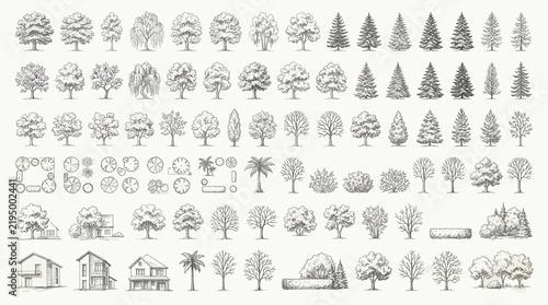 Hand drawn tree collection set, detailed botanical forest trees sketch pack, nature landscape design elements for map and garden planning vector illustration.