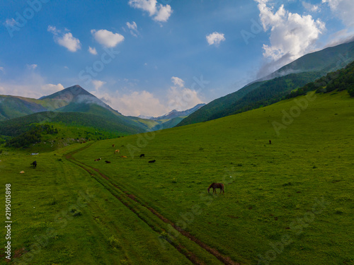 Aerial view captures serene green rolling hills under a bright blue sky. Cows and a horse graze peacefully on the lush pasture, creating a tranquil rural scene.