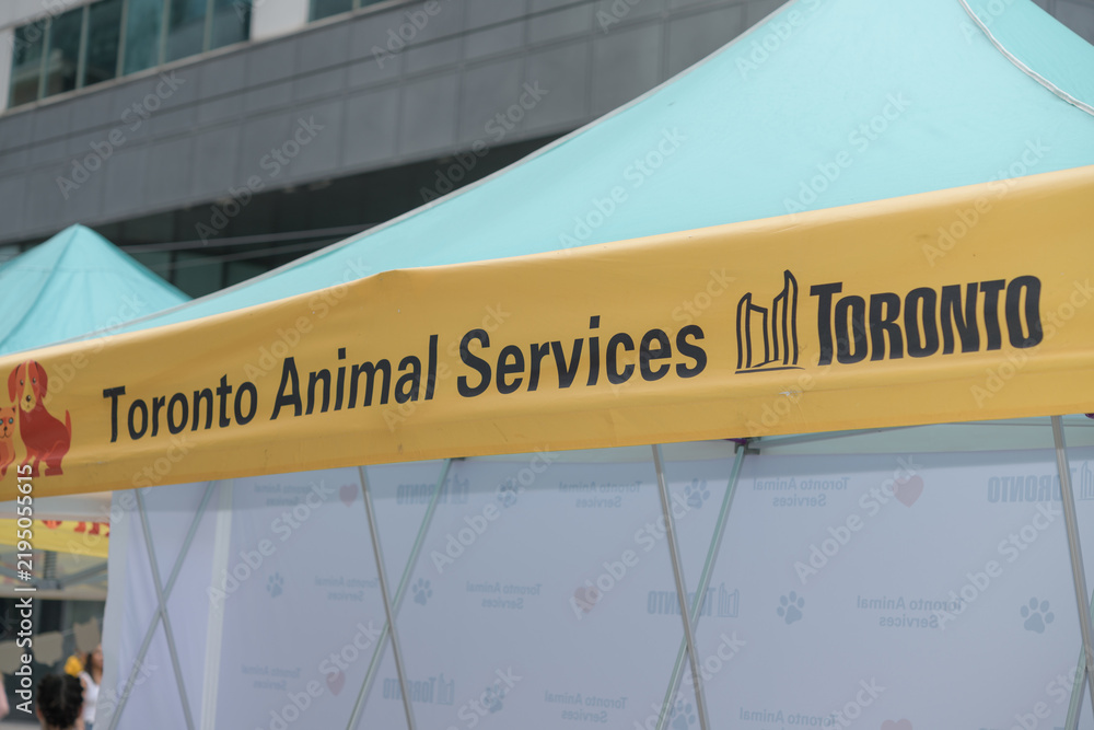 Fototapeta premium Toronto Animal Services event tent at TIFF 2026