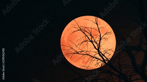 A Halloween background featuring a large circular orange moon projected onto a dark textured wall, with delicate branches crossing its surface as shadows, minimalist conceptual photography