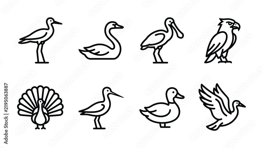 Obraz premium Set of Bird Icons: A collection of minimalist line art illustrations depicting various bird species, from graceful swans to majestic eagles and elegant peacocks.