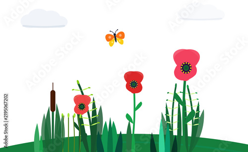 Garden full of poppy flowers and flying butterfly