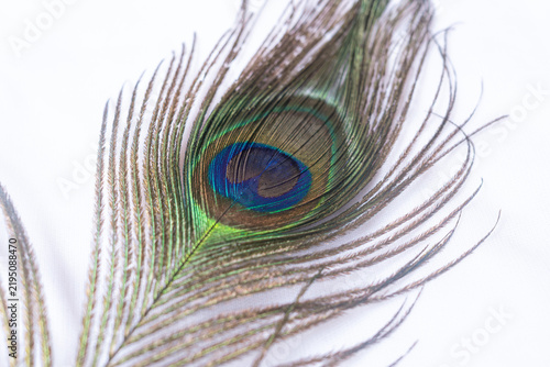 A single beautiful peacock feather with its distinctive eye pattern, as symbol of Hindu god Lord Krishna. isolated on white background.