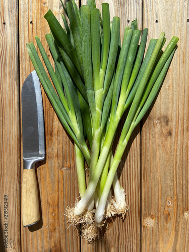 Canvastavla Top view of a bundle of fresh green scallions with roots lying next to a chef kn