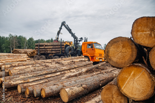 Orange logging truck with crane loading timber logs in a forest area, stacks of cut trees and cloudy sky visible in the background