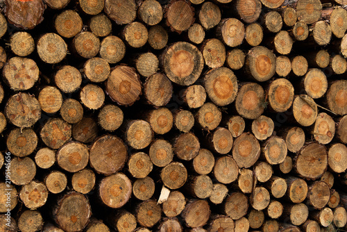 Stacked wooden logs background texture of harvested pine timber