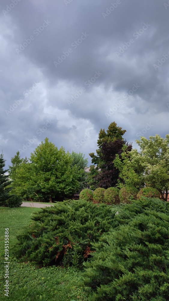 Obraz premium Green trees under dark cloudy sky before rain