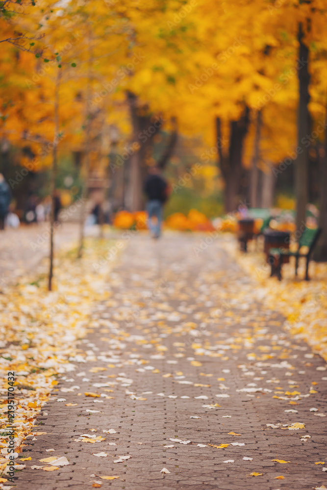 Obraz premium Strolling through a vibrant autumn park filled with golden leaves and cozy benches