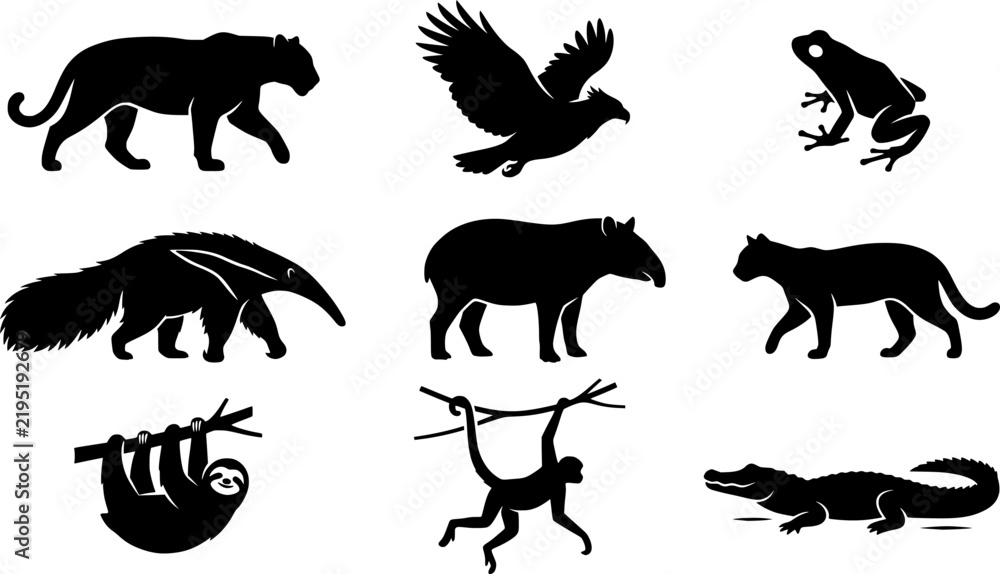 Obraz premium Rainforest Canopy Animals Silhouette Collection Jaguar Harpy Eagle Poison Dart Frog Giant Anteater Tapir Ocelot Sloth Spider Monkey Caiman Minimal Flat Vector