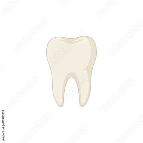 Illustration of a human tooth isolated on transparent background