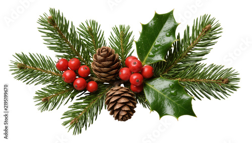 Christmas fir branches with pine cones and red berries, isolated on transparent background