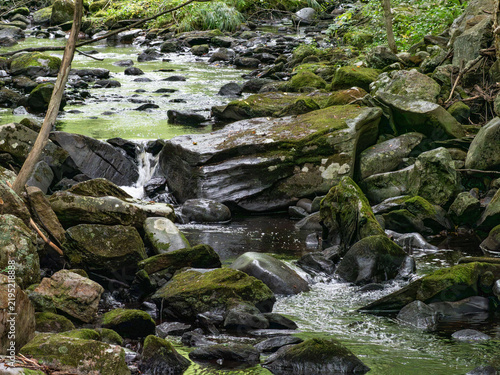 Foto stream at sunnybrook state park