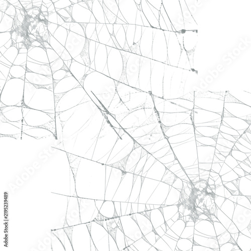 Konstfotografi Spider web isolated on transparent background