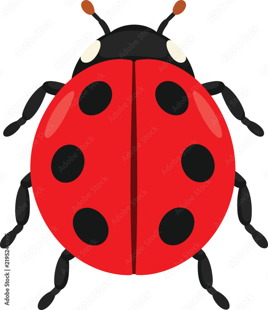 Fototapeta premium Cute Red Ladybug with Black Spots Isolated on White Background – Vector Illustration
