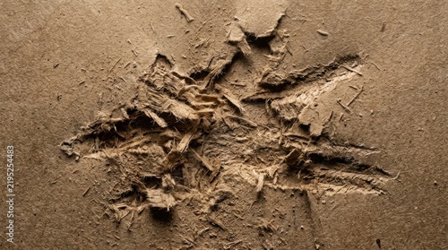 Cuadro en lienzo Torn cardboard fragments create a textured fragmented pattern against a brown ba