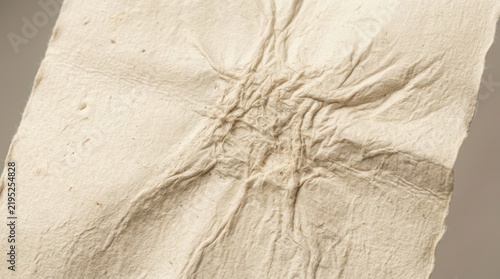 Obraz na plátně Gathered fabric texture displays a central puckered seam against a neutral backd