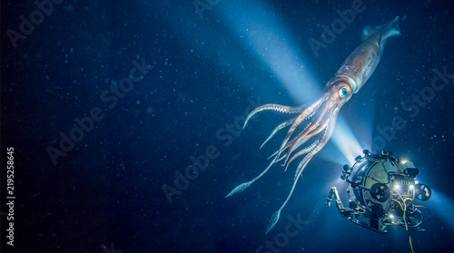Giant Squid Encountered by Deep Sea Submersible in Dark Ocean