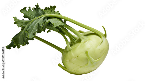 Bild auf Leinwand Isolated single fresh organic kohlrabi vegetable with vibrant green leaves ready