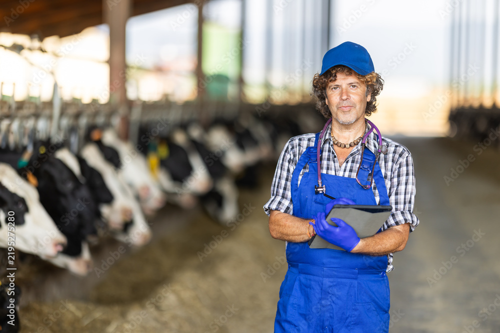 Obraz premium Male farmer vet in cowshed examines condition of cows, writes data to tablet, and records information on report.
