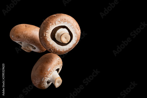 Three fresh brown cremini mushrooms floating against a solid black background for food design