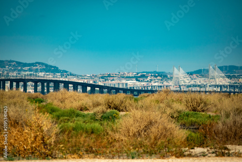 Картината върху платно Coastal cityscape viewed from dry scrubland with a large suspension bridge